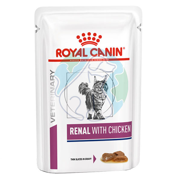 پوچ گربه سس سالسا 85گرمی Renal with chicken royal canin