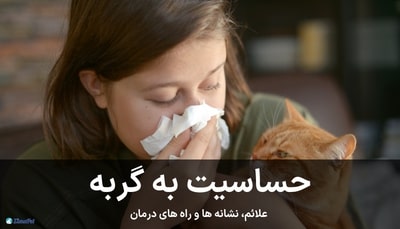 حساسیت به گربه، علائم، نشانه ها و راه های درمان