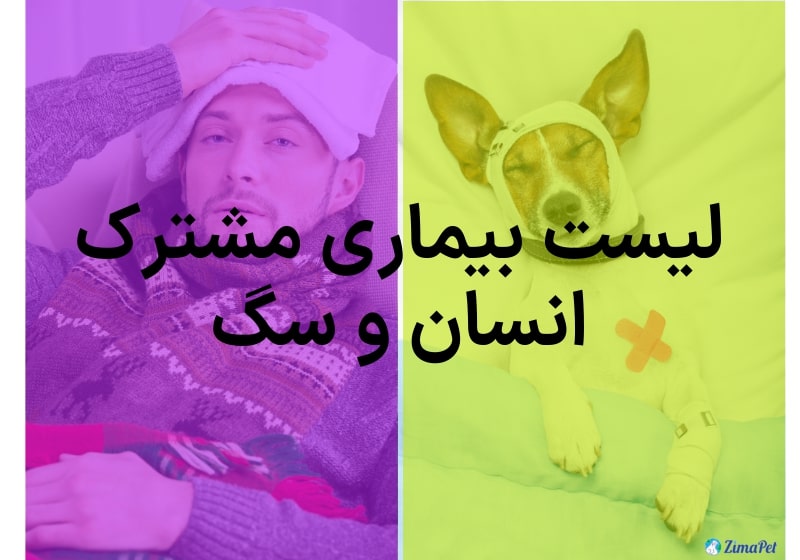 لیست بیماری مشترک انسان و سگ 