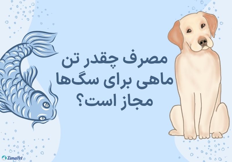 تن ماهی برای سگ مفید است یا مضر