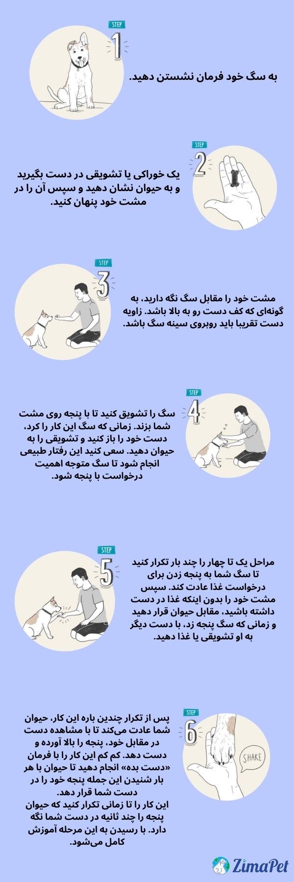  آموزش دست دادن به سگ 