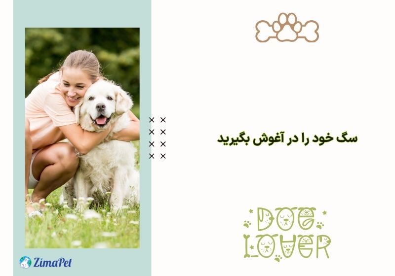 چگونه سگ را به خود وابسته کنیم؟ 