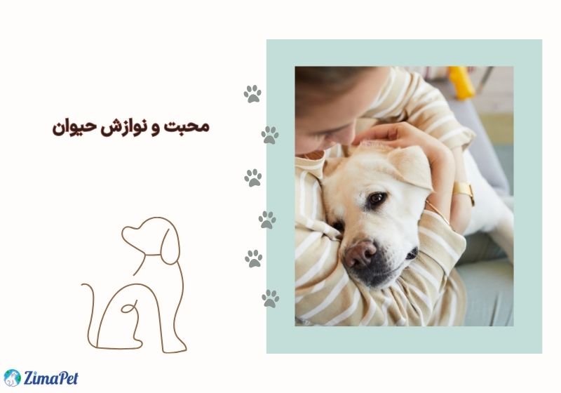 چگونه سگ را به خود وابسته کنیم؟ 