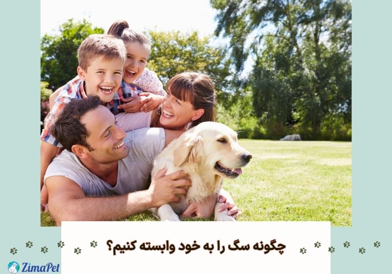 چگونه سگ را به خود وابسته کنیم؟ 