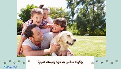چگونه سگ را به خود وابسته کنیم؟ 