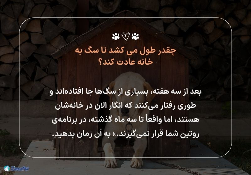 چگونه سگ را به لانه اش عادت دهیم؟ 