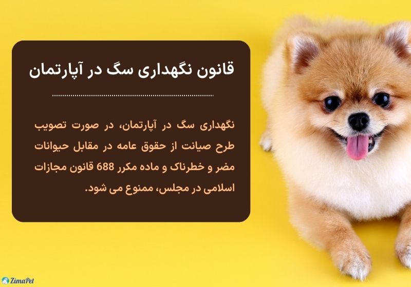 قانون نگهداری سگ در آپارتمان و خانه ویلایی در ایران 