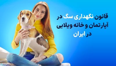 قانون نگهداری سگ در آپارتمان و خانه ویلایی در ایران 