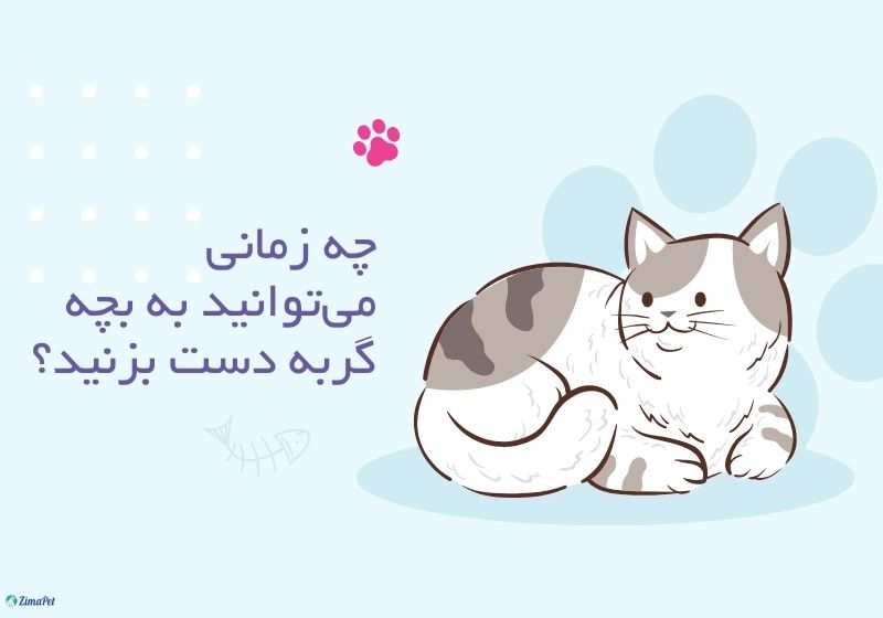 اگر به بچه گربه دست بزنیم چه میشود؟