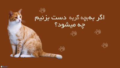 اگر به بچه گربه دست بزنیم چه میشود؟