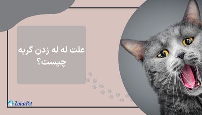 علت له له زدن گربه چیست؟ 