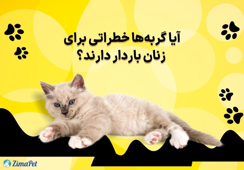 آیا موی گربه باعث نازایی میشه؟ 