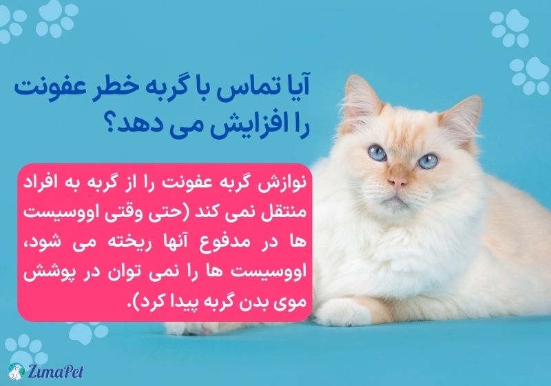 آیا موی گربه باعث نازایی میشه؟ 