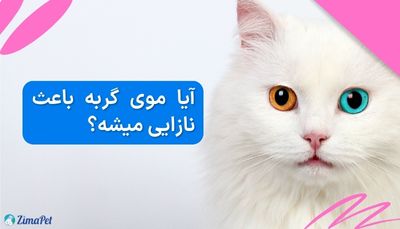 آیا موی گربه باعث نازایی میشه؟
