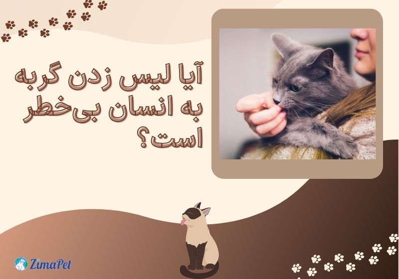 علت لیس زدن گربه چیست
