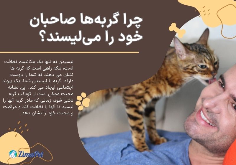 علت لیس زدن گربه چیست
