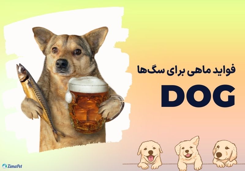 آیا ماهی برای سگ مضر است؟ 