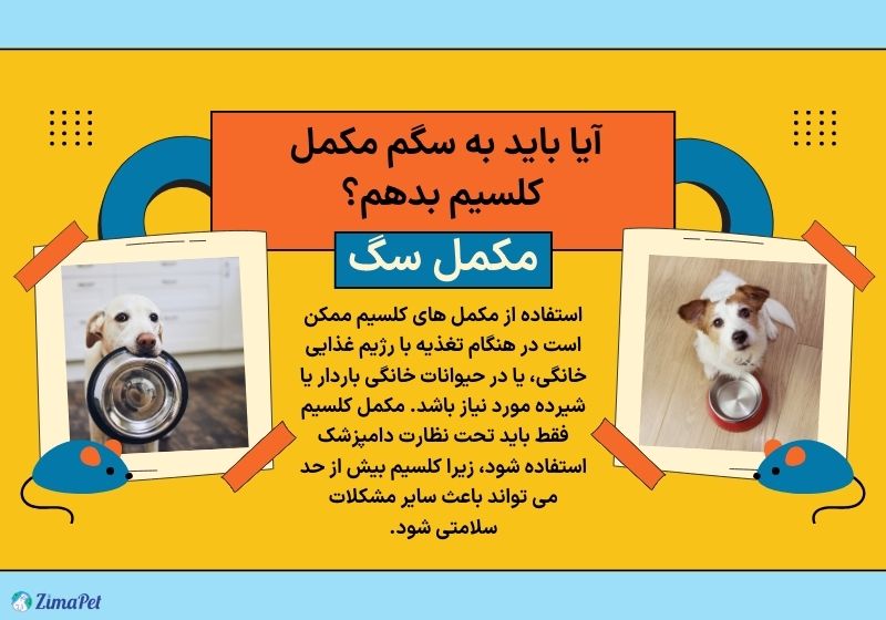 بهترین کلسیم برای سگ چیست؟ 