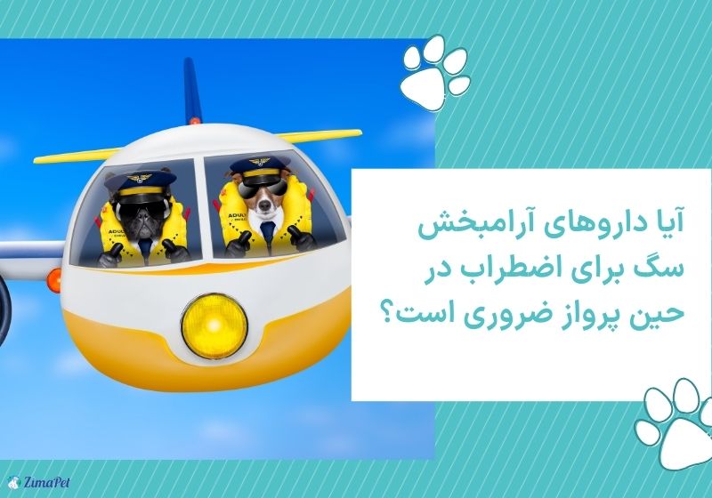 قرص خواب برای سگ در پرواز