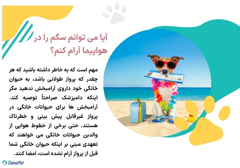 قرص خواب برای سگ در پرواز