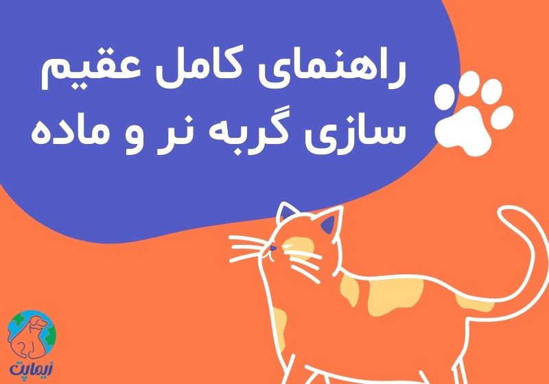 عقیم سازی گربه
