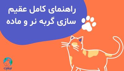 عقیم سازی گربه