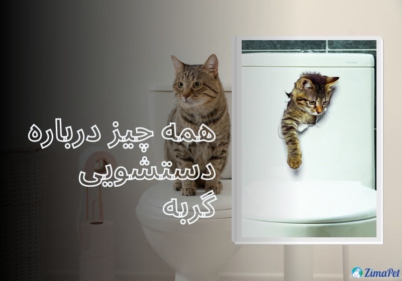 درباره دستشویی گربه