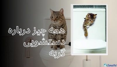 درباره دستشویی گربه