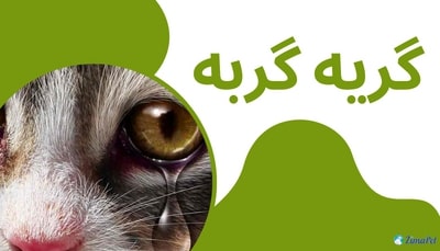 آیا گربه ها گریه می کنند؟