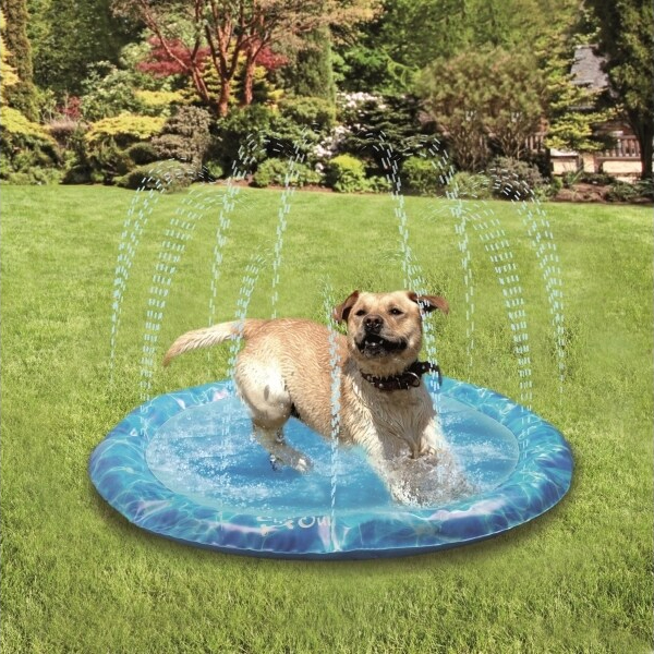 استخر بادی Afp sprinkler fun mat L