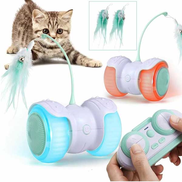 اسباب بازی کنترلی گربه 