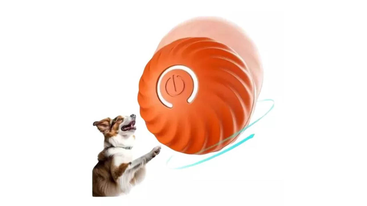 توپ متحرک شارژی pet gravity