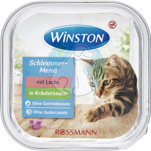 ووم گربه بالغ ماهی سالمون و سس هویج 100گرمی Winston