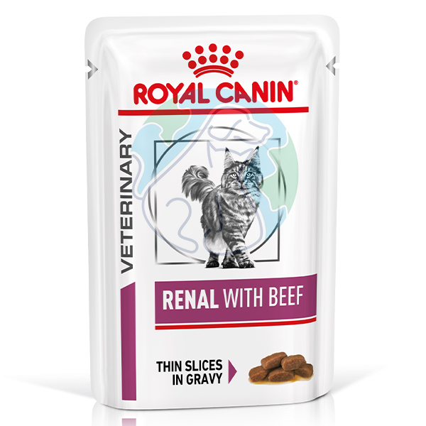 پوچ گربه سس سالسا 85گرمی Renal with beef royal canin
