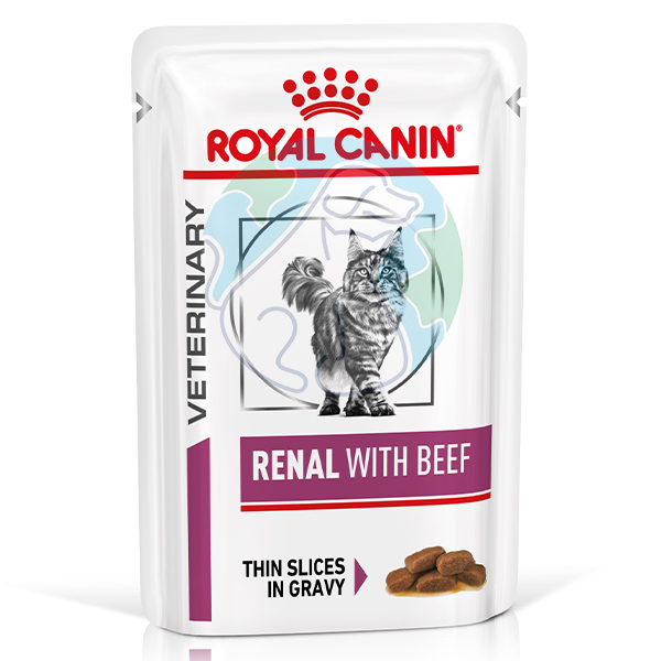 پوچ گربه سس سالسا 85گرمی Renal with beef royal canin